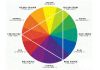 What are the Important skills for Graphic Design Auckland Professionals